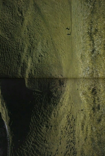 A cover of "Layout" cluster. The owner is paulhumphries. The cluster consists of 41 elements.