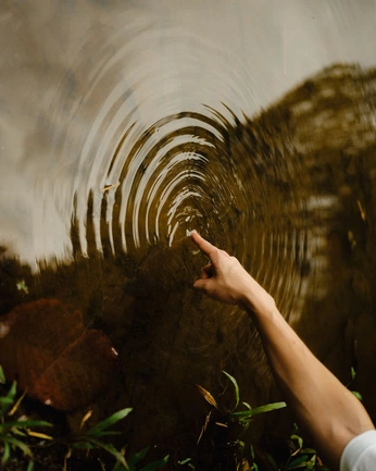 A cover of "GLD stand apart" cluster. The owner is cchatenoud. The cluster consists of 65 elements.