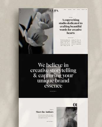 A cover of "pdf fotografia" cluster. The owner is aguiar. The cluster consists of 20 elements.