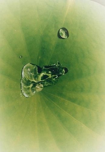 A cover of "CONNECT TO WORLD" cluster. The owner is millyw. The cluster consists of 15 elements.