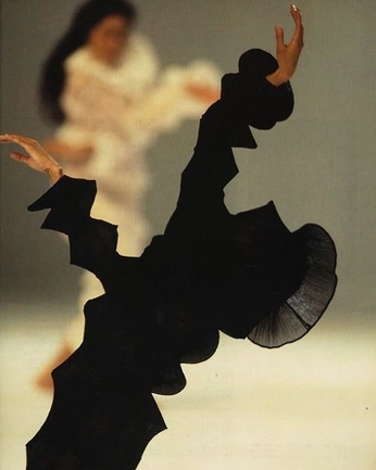 A cover of "poses" cluster. The owner is baflow. The cluster consists of 1 element.