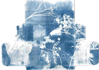 A cover of "prussian" cluster. The owner is blindspots. The cluster consists of 5 elements.