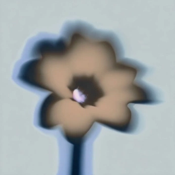 A cover of "Reflections" cluster. The owner is ab. The cluster consists of 62 elements.