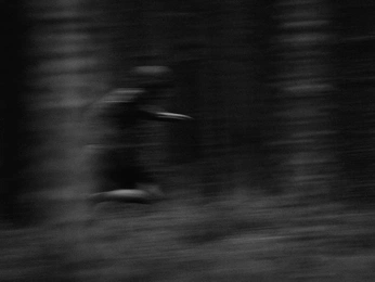 A cover of "RUNNING" cluster. The owner is solene598. The cluster consists of 15 elements.