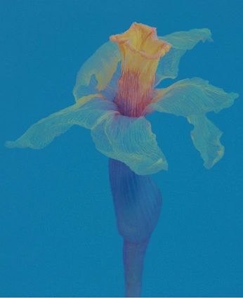 A cover of "8am" cluster. The owner is jenjeongmin. The cluster consists of 13 elements.