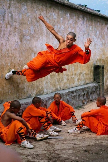 A cover of "sportswear" cluster. The owner is kikitranova. The cluster consists of 37 elements.