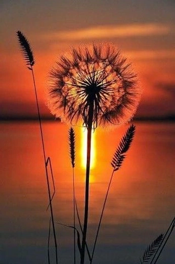 A cover of "Sceneries, landscapes" cluster. The owner is hesperidian. The cluster consists of 181 elements.