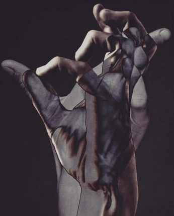 A cover of "anatomy reference" cluster. The owner is birbvent. The cluster consists of 2 elements.