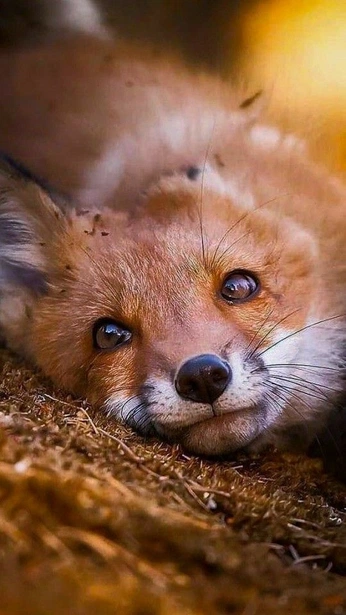 A cover of "Nature and the Universe" cluster. The owner is riversgrace. The cluster consists of 2231 elements.