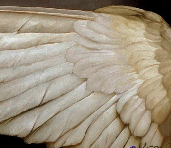 A cover of "Saturate 26" cluster. The owner is ecotwell. The cluster consists of 26 elements.