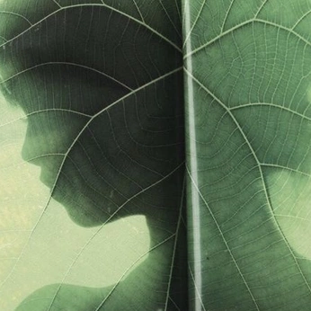 A cover of "nature" cluster. The owner is dommit. The cluster consists of 125 elements.