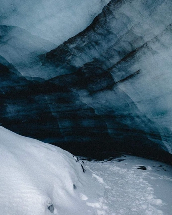 A cover of "nature" cluster. The owner is wwwctdc. The cluster consists of 1 element.