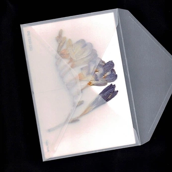 A cover of "Affection" cluster. The owner is tracesoftears00. The cluster consists of 3 elements.