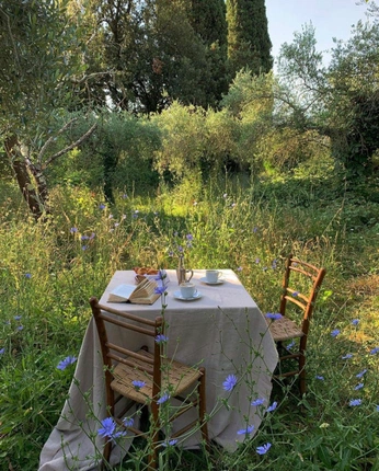 A cover of "Provence" cluster. The owner is margauxplg. The cluster consists of 3 elements.