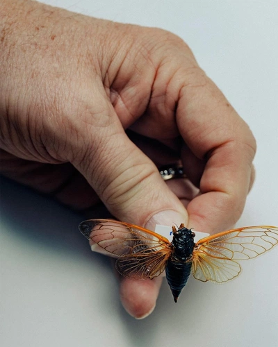 An Instagram carousel post added by aethereal.itf on Jun 05, 2024. The author is @atmos.