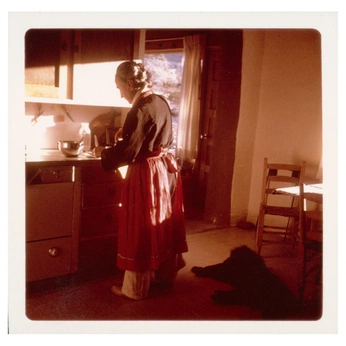 A cover of "Thanksgiving Vibes" cluster. The owner is torres. The cluster consists of 27 elements.