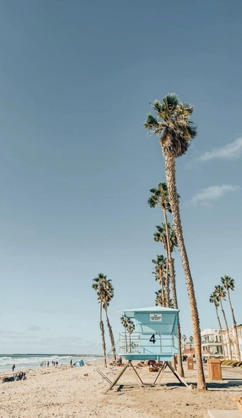 A cover of "Malibu Summer 🌴🥥" cluster. The owner is jsouth. The cluster consists of 40 elements.