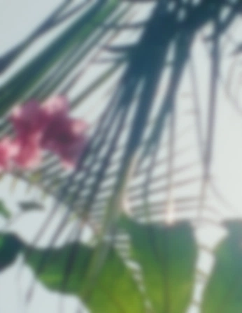 A cover of "summer" cluster. The owner is sereinsoul. The cluster consists of 11 elements.