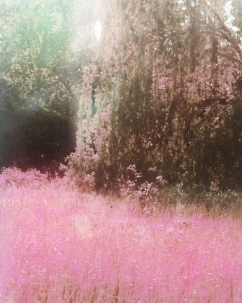 A cover of "Landscapes" cluster. The owner is maharani. The cluster consists of 146 elements.