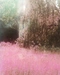 Cover of Landscapes cluster