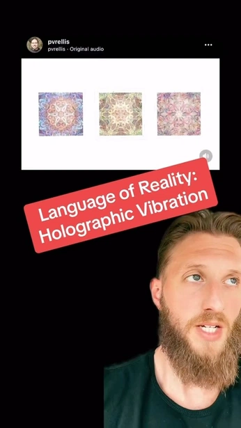 A cover of "Schizophrenic shit" cluster. The owner is xxnihilxx. The cluster consists of 2 elements.