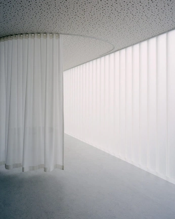 A cover of "NARCISO" cluster. The owner is mariafernandes. The cluster consists of 29 elements.