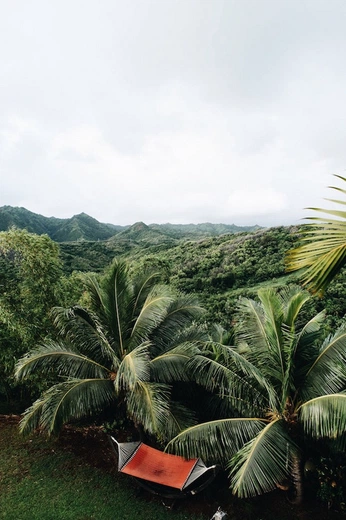 A cover of "Bungalo Panama" cluster. The owner is dstar00. The cluster consists of 2 elements.