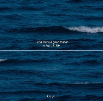 A cover of "memes" cluster. The owner is lucymcnulty. The cluster consists of 359 elements.