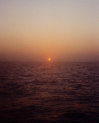 A cover of "Aiayu" cluster. The owner is kissssi. The cluster consists of 50 elements.