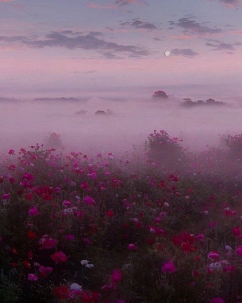 A cover of "Landscapes" cluster. The owner is reanbean. The cluster consists of 1 element.