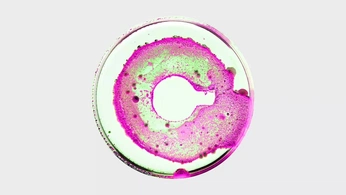 A cover of "ＲＥＮＤＥＲＩＮＧ" cluster. The owner is kenivsky. The cluster consists of 23 elements.