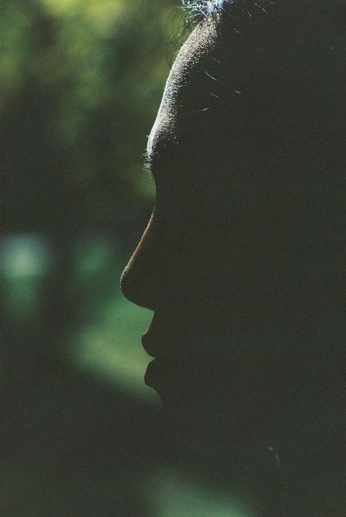 A cover of "TAKARANGI" cluster. The owner is still.ness. The cluster consists of 8 elements.