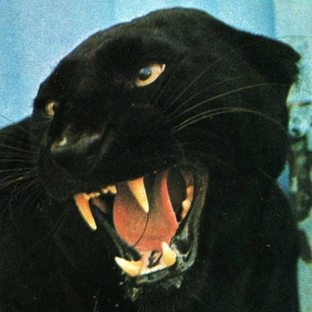 A cover of "tfg" cluster. The owner is eledeluch. The cluster consists of 65 elements.