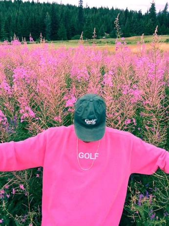 A cover of "Golflife" cluster. The owner is neztrodamus. The cluster consists of 6 elements.