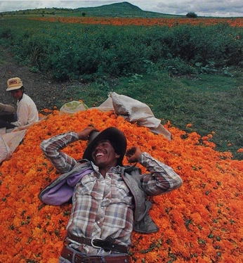 A cover of "Deep shit" cluster. The owner is chocolatemanz. The cluster consists of 5 elements.