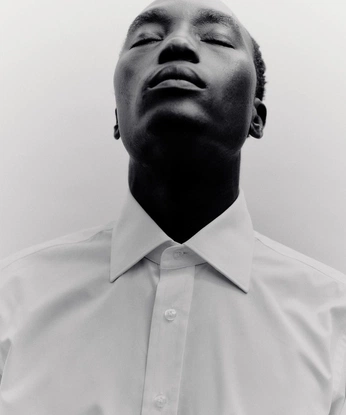 A cover of "venna" cluster. The owner is joswhite. The cluster consists of 1 element.