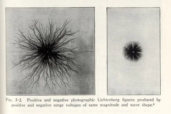 A cover of "Fig." cluster. The owner is synonime. The cluster consists of 3 elements.
