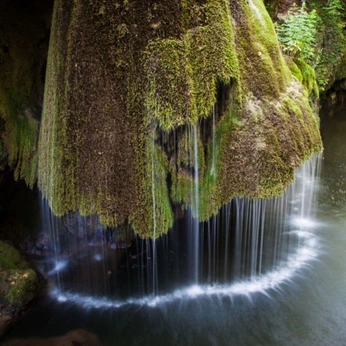 A cover of "Bon Fire" cluster. The owner is dustyboricua92. The cluster consists of 9 elements.