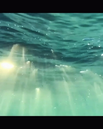 A cover of "Resort 3 '26" cluster. The owner is michhtaylor. The cluster consists of 31 elements.