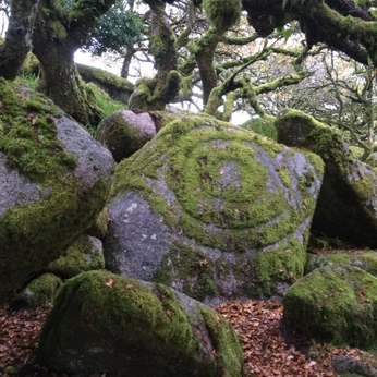 A cover of "Outer World 🌳" cluster. The owner is jnaydaily. The cluster consists of 48 elements.