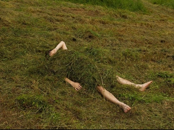 A cover of "photography" cluster. The owner is annalog. The cluster consists of 2 elements.