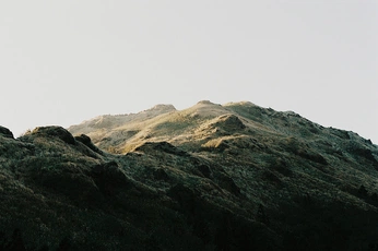 A cover of "NATURE" cluster. The owner is moonya. The cluster consists of 7 elements.