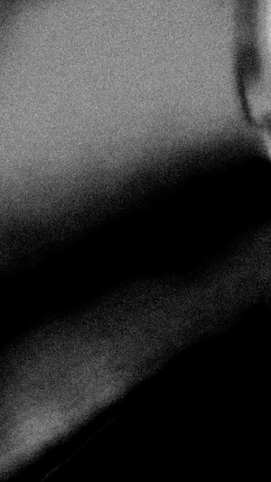 Elison Bartolomeu avatar