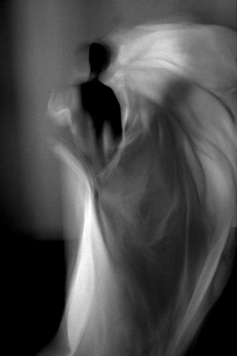 A cover of "Photogrpahy" cluster. The owner is zosinspo. The cluster consists of 5 elements.