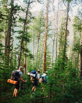 A cover of "wild" cluster. The owner is summer14. The cluster consists of 6 elements.