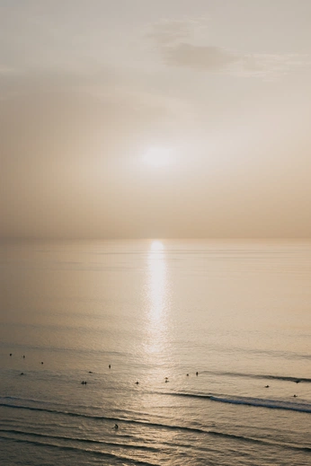 A cover of "calm" cluster. The owner is cerisealabi. The cluster consists of 2 elements.