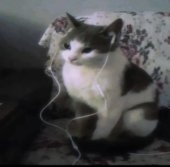 A cover of "WXBX" cluster. The owner is xo.richeese. The cluster consists of 5 elements.