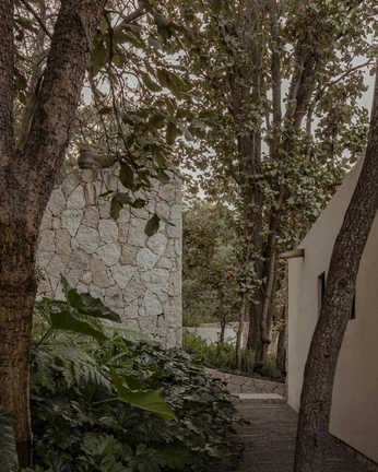 A cover of "ivory tower in the woods" cluster. The owner is rilke. The cluster consists of 15 elements.