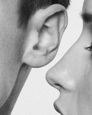 Cover of Photography cluster