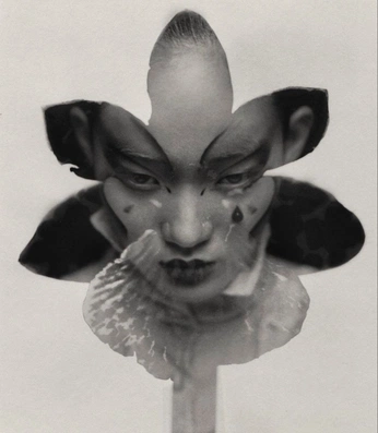 A cover of "Inspo" cluster. The owner is tstdr. The cluster consists of 15 elements.